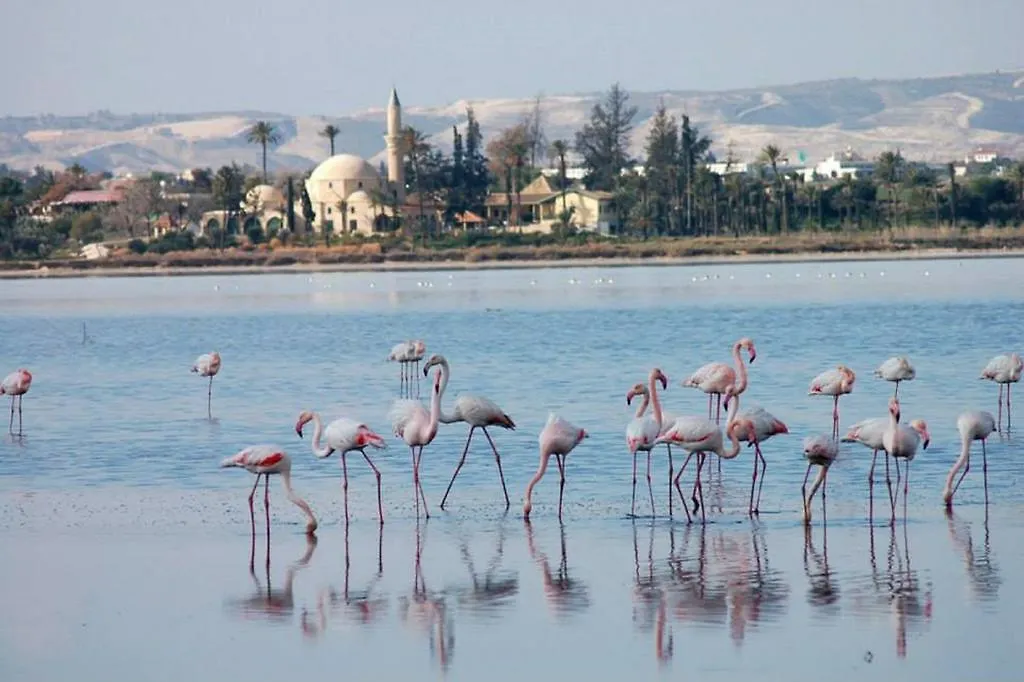 Ithaki Phinikoudes Apartment 307 Larnaca